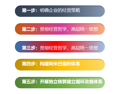 華典智慧阿米巴咨詢