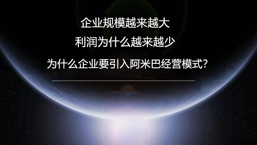 阿米巴咨詢